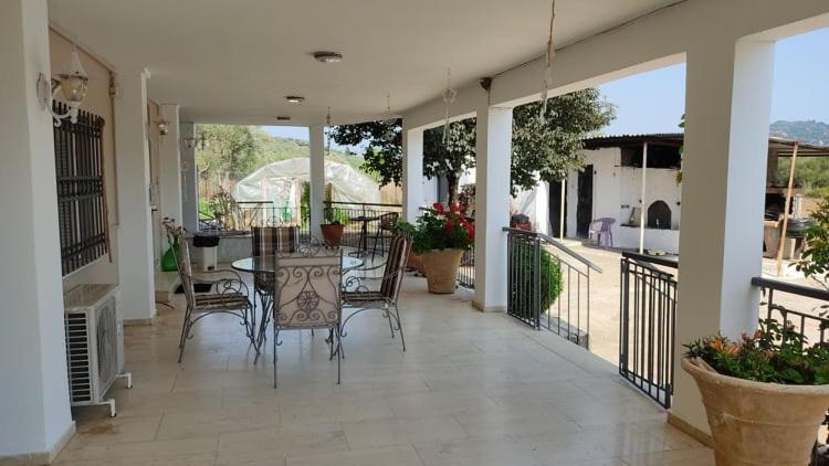 Mallios Country House Near Ancient Olympia Buitenkant foto