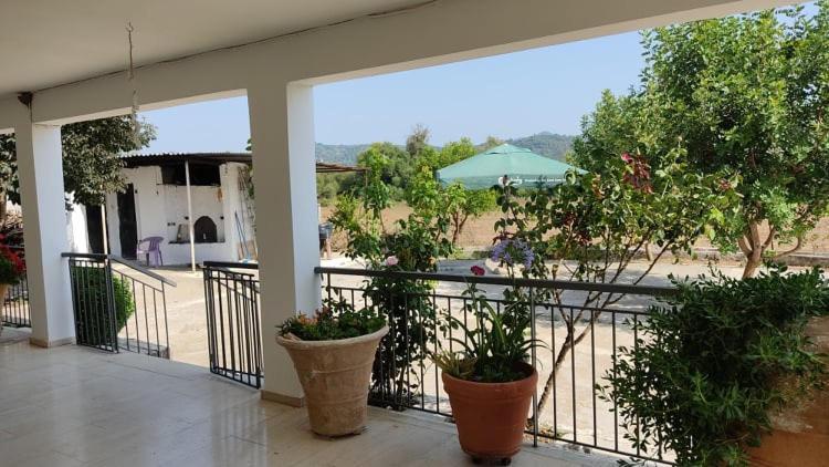 Mallios Country House Near Ancient Olympia Buitenkant foto