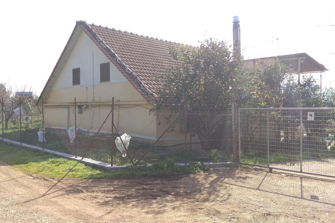 Mallios Country House Near Ancient Olympia Buitenkant foto